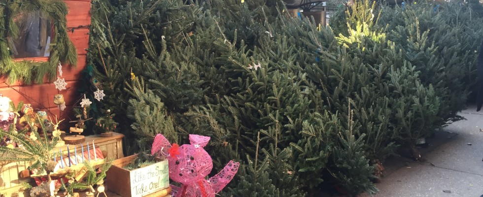 how to buy a christmas tree in new york city how to buy a christmas tree in new york city