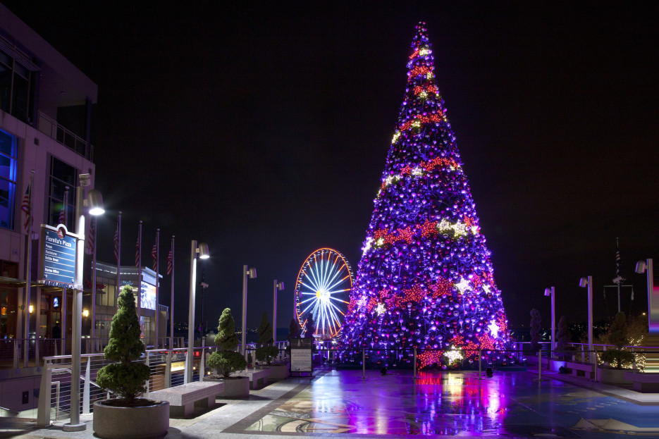 10 best things to do in d c in november 2015 10 best things to do in d c in november 2015
