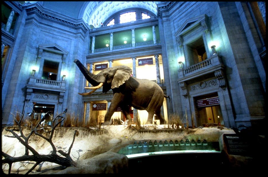 Mommy Nearest - Ultimate Guide to the National Mall's Museums