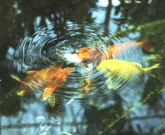Water treatments