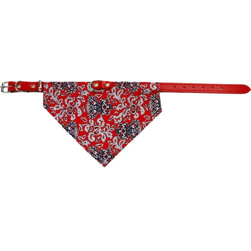 Earthbound Paisley Red Bandana Dog Collar