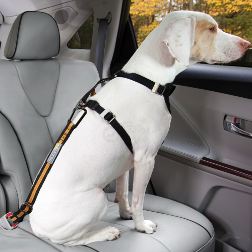 Kurgo Direct to Seatbelt Dog Tether