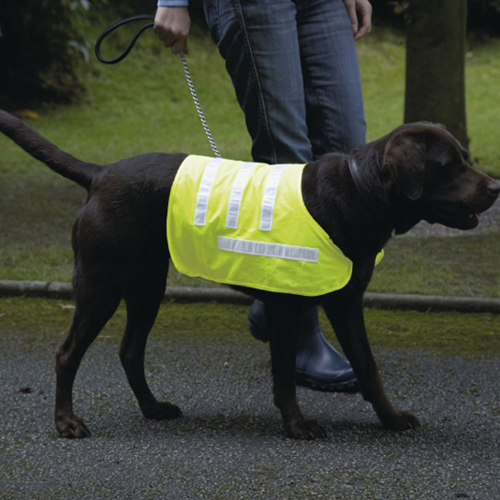 Rosewood Pet Hi-Visibility Reflective Dog Coat