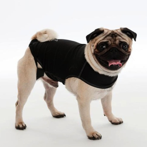 wrap for anxiety coa anxiety wrap for dogs from 163 23 81 waitrose pet wrap for anxiety coa anxiety wrap for dogs from 163 23 81 waitrose pet