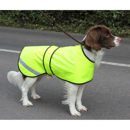 Cosipet Safety Dog Coat