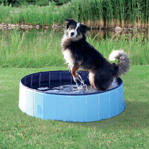 Trixie Dog Pool