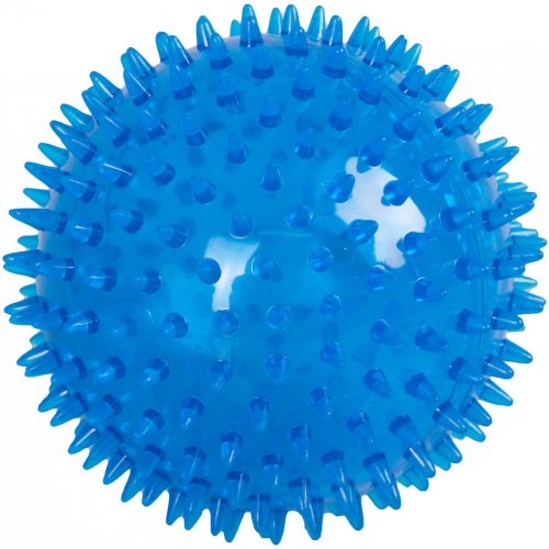 Sharples Pet Flash Spikey Ball Dog Toy