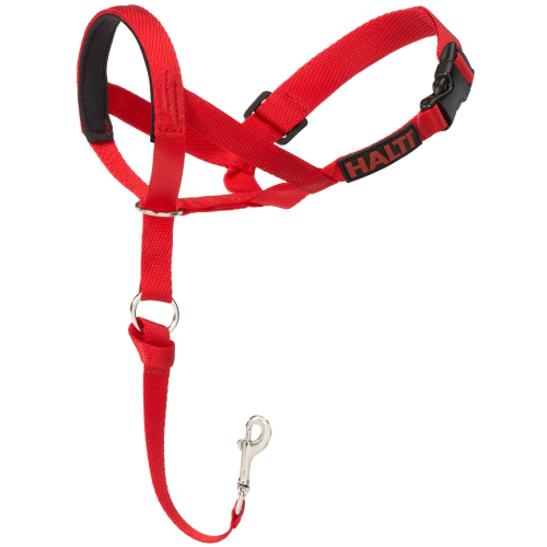 Halti Dog Headcollar Red
