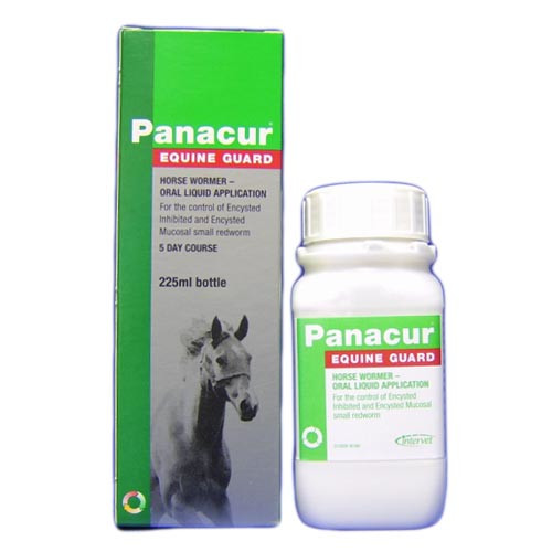 Panacur Equine Wormer Guard
