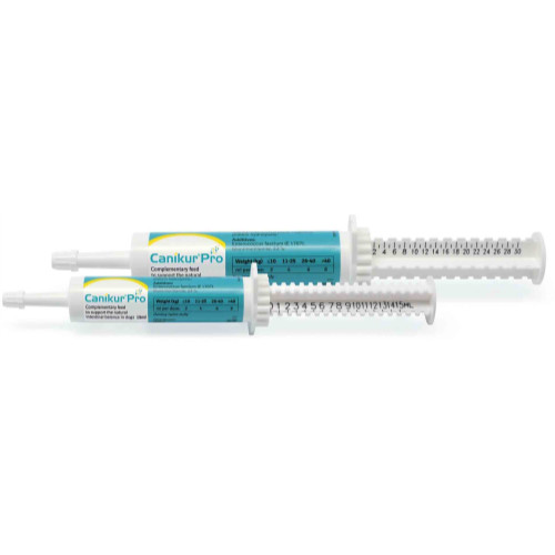 Canikur Pro Paste Syringe