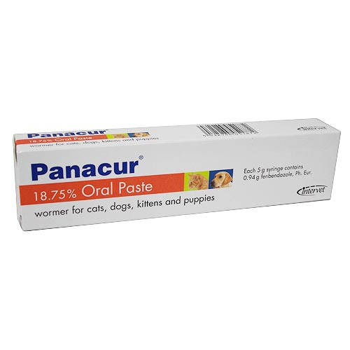 Panacur Worming Paste for Cats & Dogs