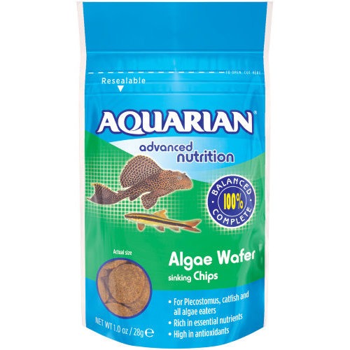 Aquarian Alga Wafer Tropical Fish Food