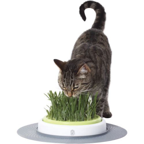 Catit Design Senses Grass Garden