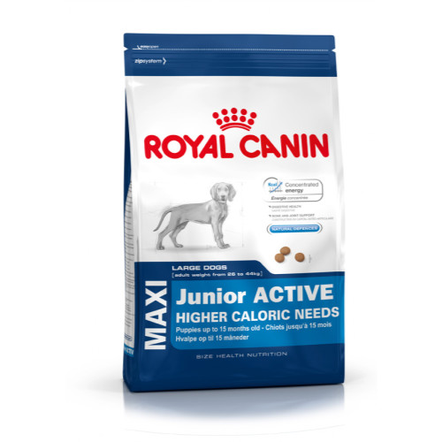 Royal Canin Maxi Junior Active Dog Food