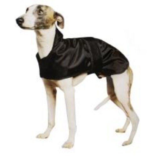 Ancol Muddy Paws Whippet Black Dog Coat
