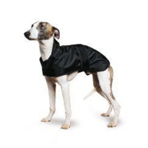 Ancol Muddy Paws Whippet Black Dog Coat