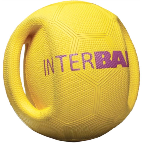 Interball Interactive Dog Ball Toy for throw and fetch