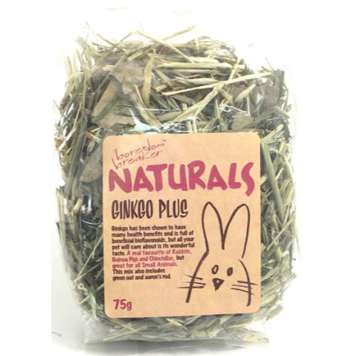 Rosewood Naturals Ginkgo Plus