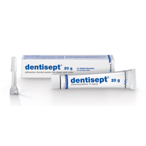 Dentisept Adhesive Oral Paste