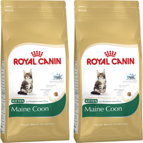 Royal Canin Breed Nutrition Maine Coon 36 Kitten Food