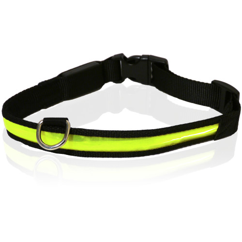 Rosewood Reflective Flashing Dog Collar