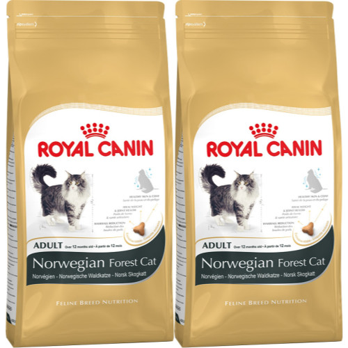 Royal Canin Breed Nutrition Norwegian Forest Adult Cat Food
