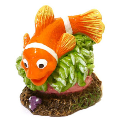 Rosewood Blue Ribbon Clownfish Critter
