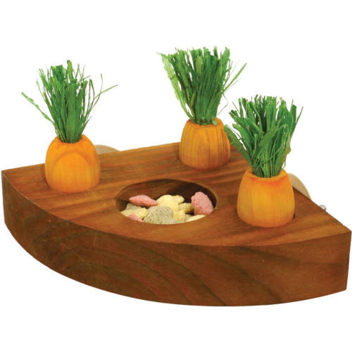 Carrot Toy n Treat Holder