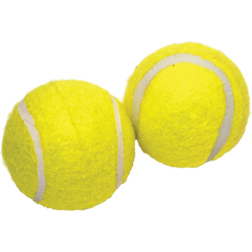 Rosewood Jolly Doggy Squeaky Tennis Balls