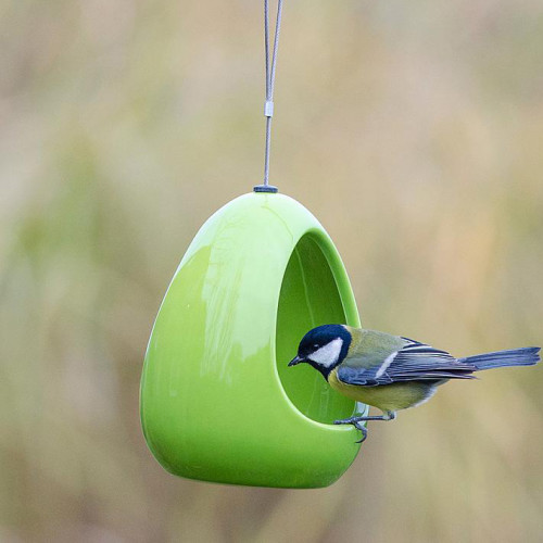 CJ WIldlife Fiesta Ceramic Drinker