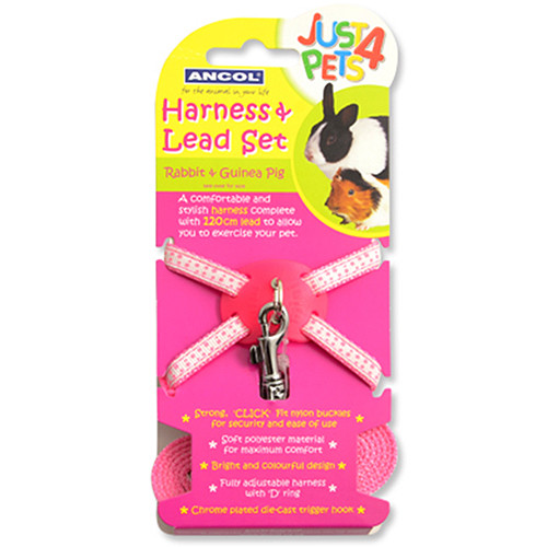 Ancol Rabbit & Small Animal Harness & Lead Set