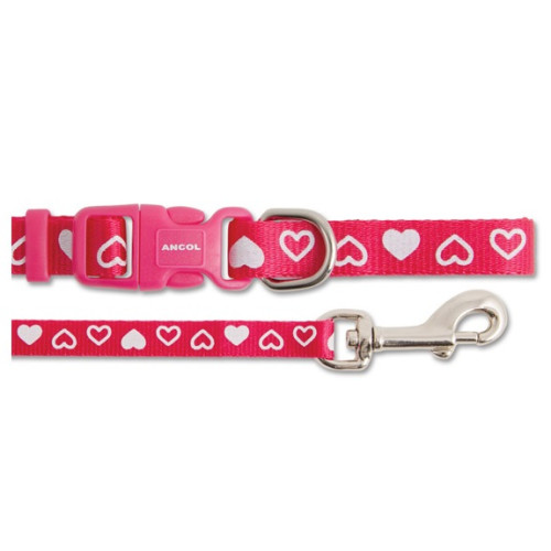 Small Bite Heart Collar & Lead Puppy Set