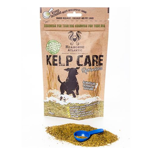 Seahorse Atlantic Kelp Care For Dog