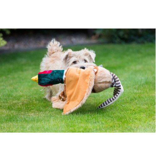 House Of Paws Plush Pheasant Dog Toy