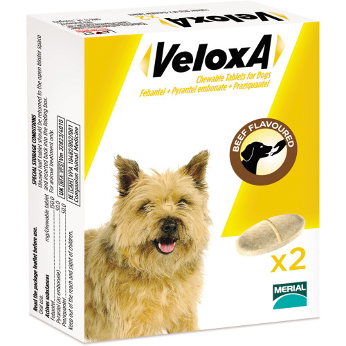 Veloxa Chewable Worming Tablets for Dogs
