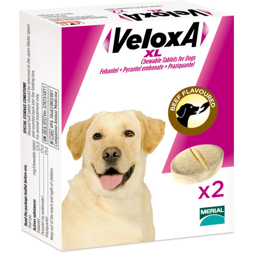Veloxa XL Chewable Worming Tablets for Dogs