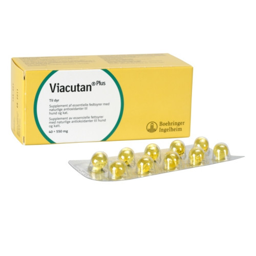 Viacutan Plus Capsules