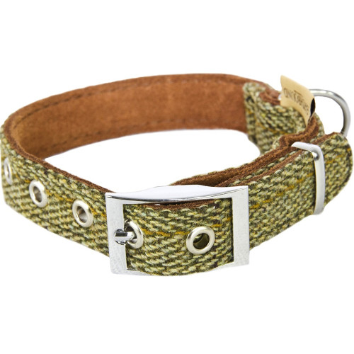 Earthbound Tweed Green Collar