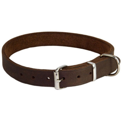 Earthbound Brown Leather Dog Collar