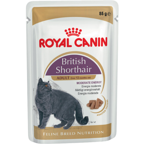 Royal Canin British Shorthair in Gravy Adult Cat Food