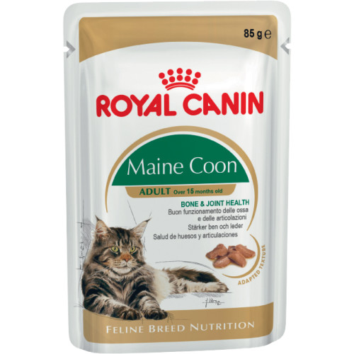Royal Canin Maine Coon in Gravy Adult Cat Food