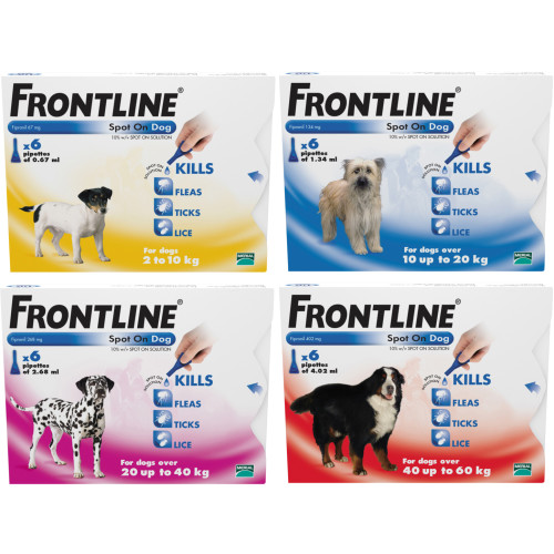 frontline spot flea dog dogs fleas cats kills ticks