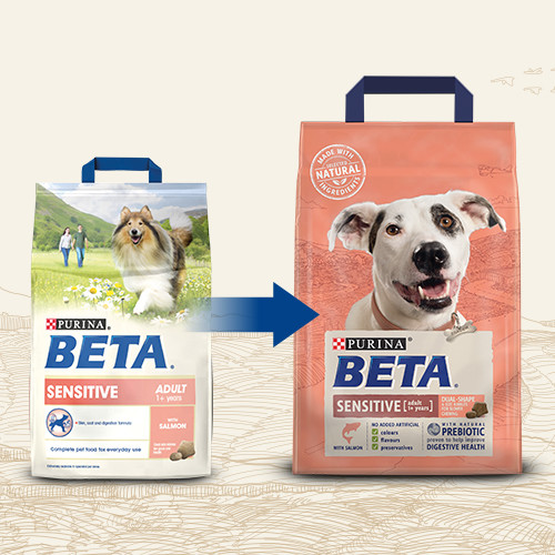 BETA Salmon & Rice Sensitive Adult Dog Food