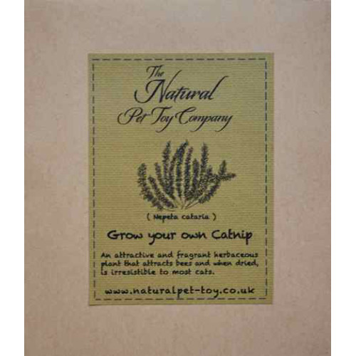 The Natural Pet Toy Company Grow Your Own Cat Catnip