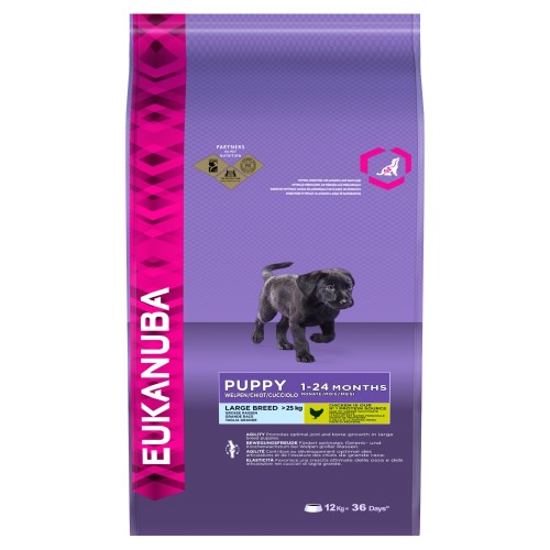 Eukanuba Chicken Large Breed Puppy Food