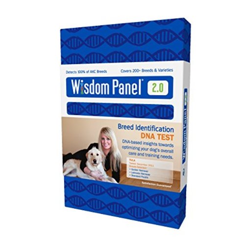 Wisdom Panel 2.0 Dog DNA Testing Kit