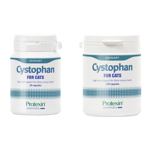 Protexin Cystophan Capsules for Cats