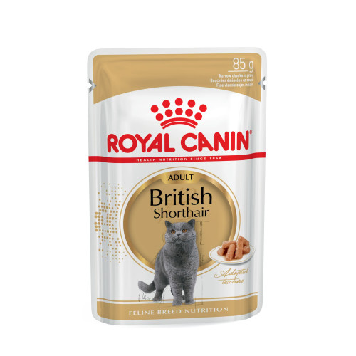 Royal Canin British Shorthair in Gravy Adult Cat Food