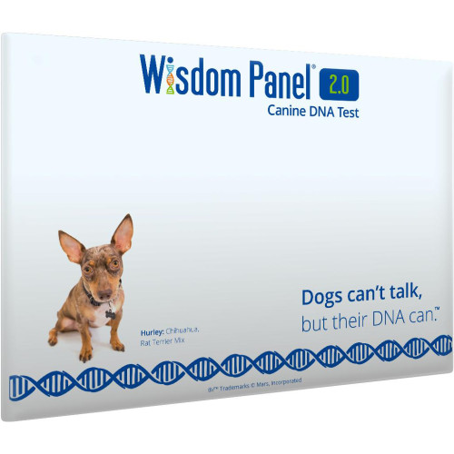 Wisdom Panel 2.0 Dog DNA Testing Kit