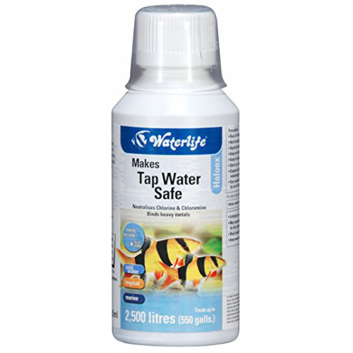 Waterlife Bacterlife Filter Start